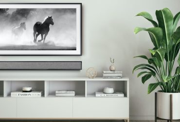 Leon Speakers FrameBar