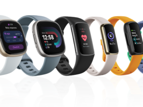 Fitbit Fall family 2022