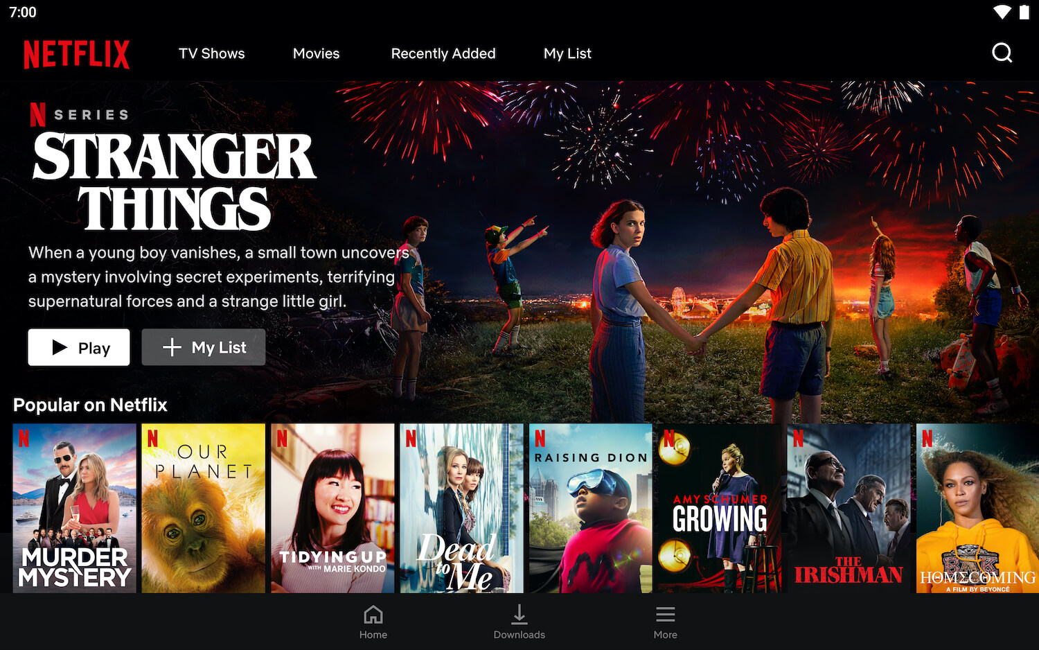 Netflix UI screen shot