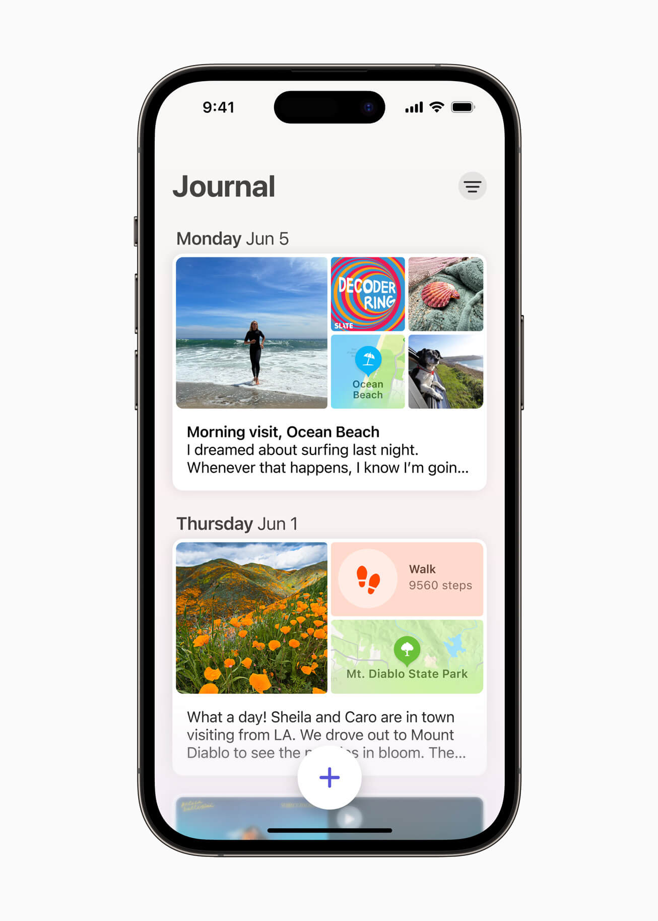 Apple iPhone Journal