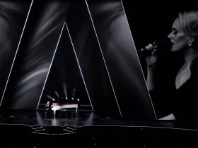 Screen Innovations CarbonBlack screen at an Adele concert