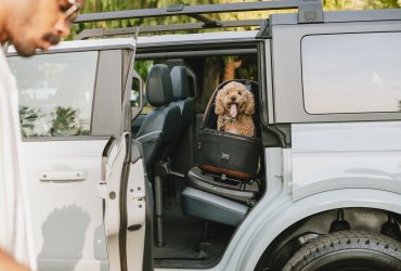 Tavo Pets Maeve car seat