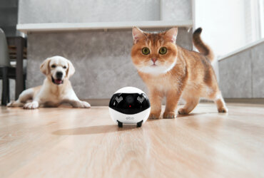 Enabot Ebo Air 2 Plus