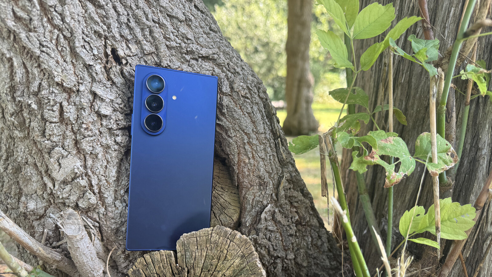 Samsung Galaxy Z Fold 7 folded tree