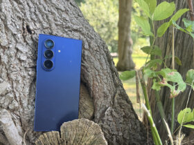 Samsung Galaxy Z Fold 7 folded tree