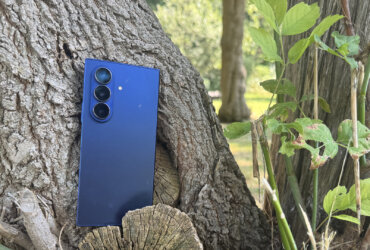 Samsung Galaxy Z Fold 7 folded tree