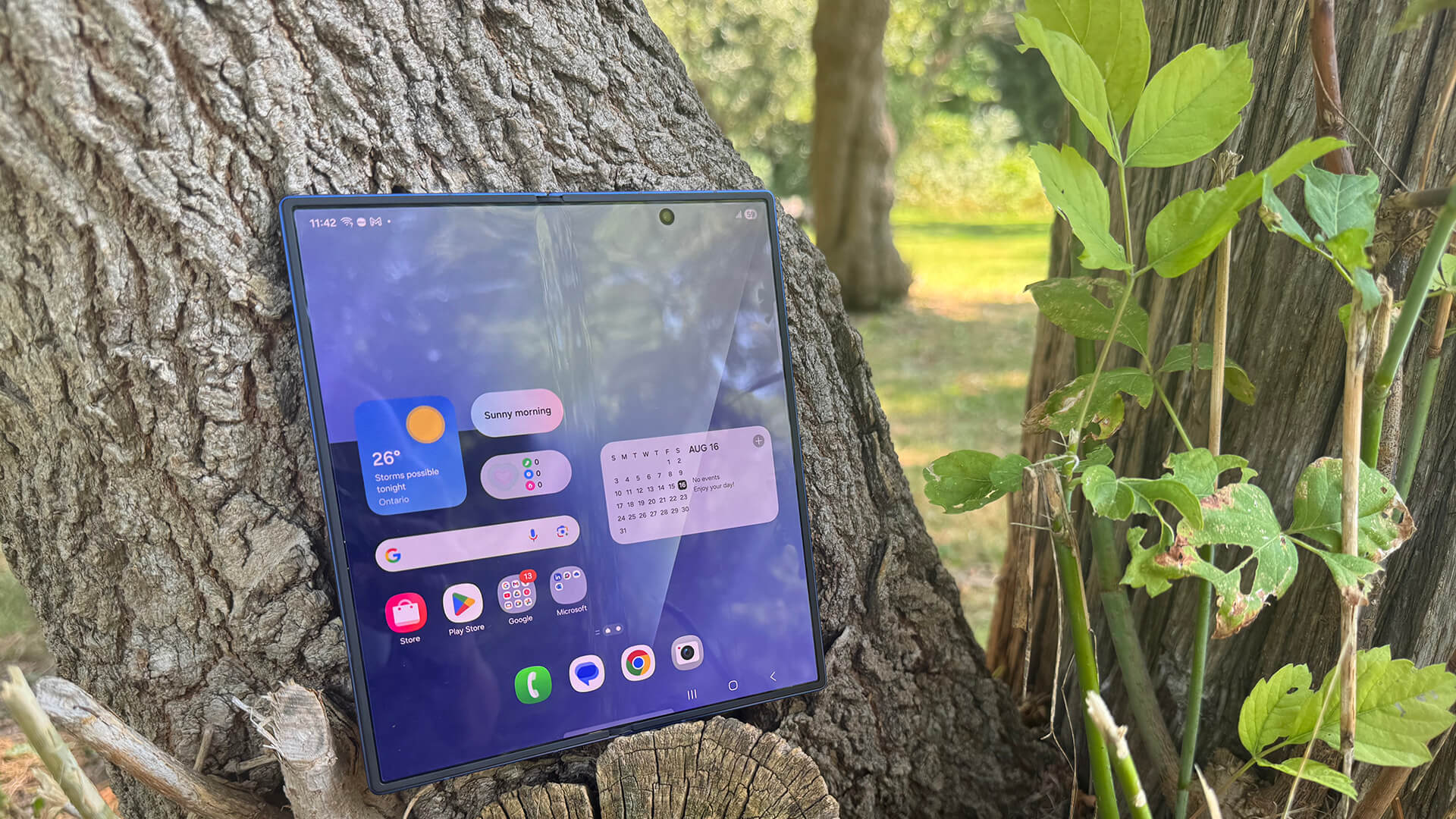 Samsung Galaxy Z Fold 7 open by tree