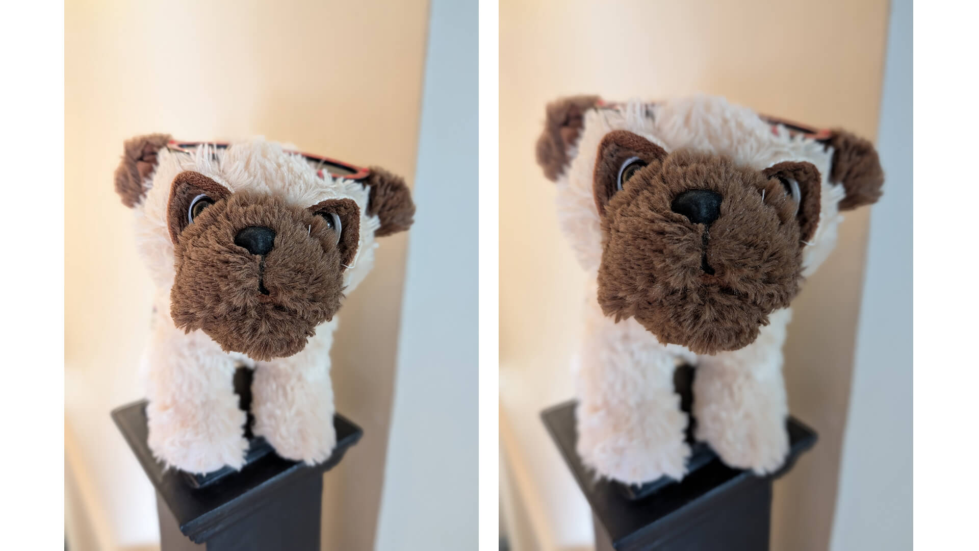 Google Pixel 10 Pro 50MP portrait