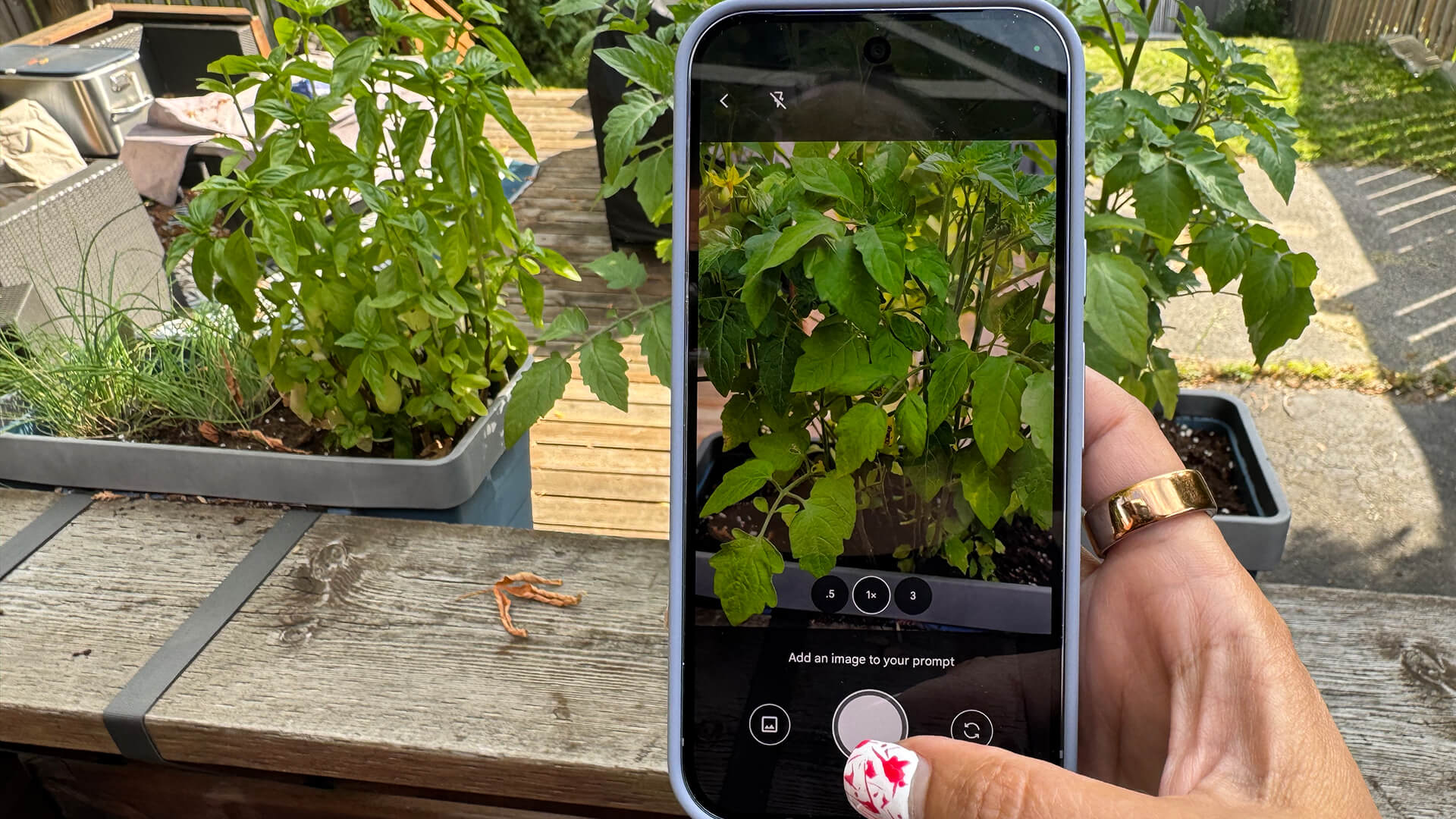 Google Pixel 10 Pro Gemini photo