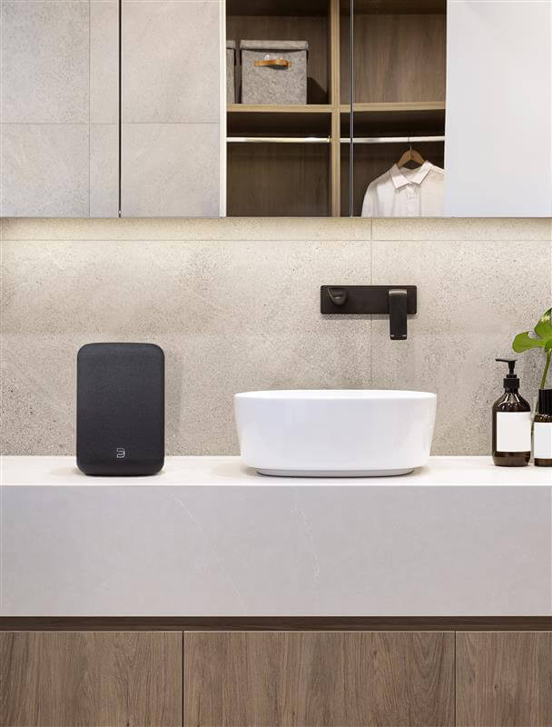 Bluesound Pulse Flex