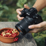 Nikon DX-16