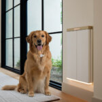 Pawport Pet door