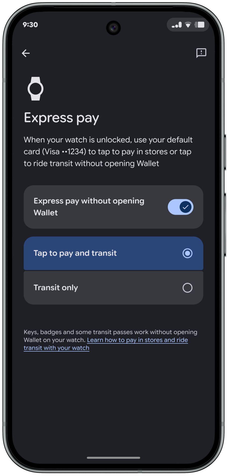 Pixel Drop Express Pay