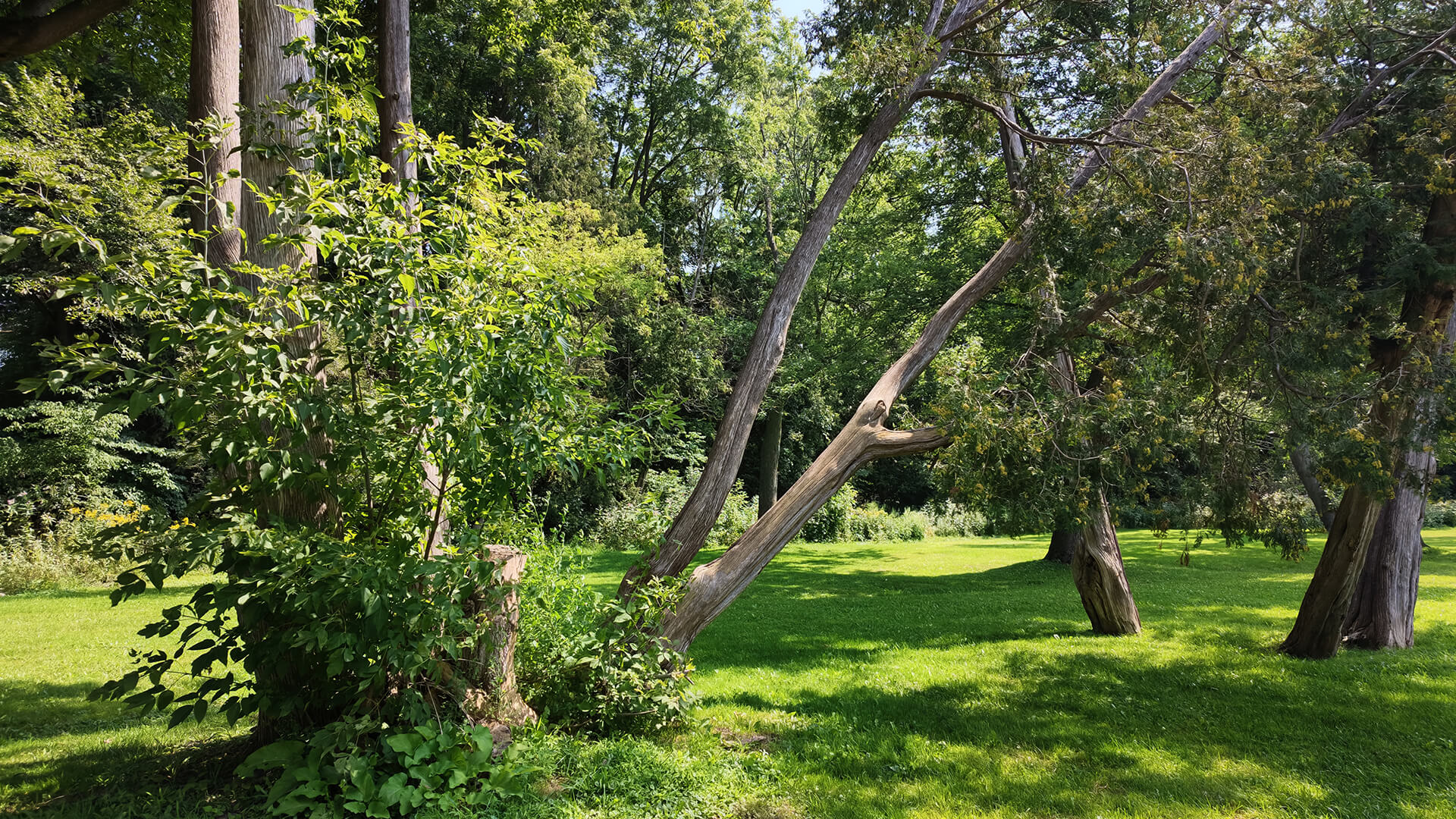 Photo taken with DJI Osmo Pocket 4