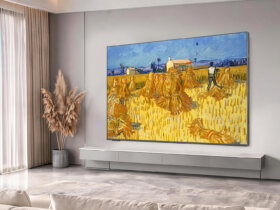 Skyworth Canvas Art C2