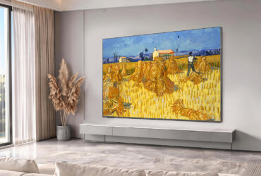 Skyworth Canvas Art C2
