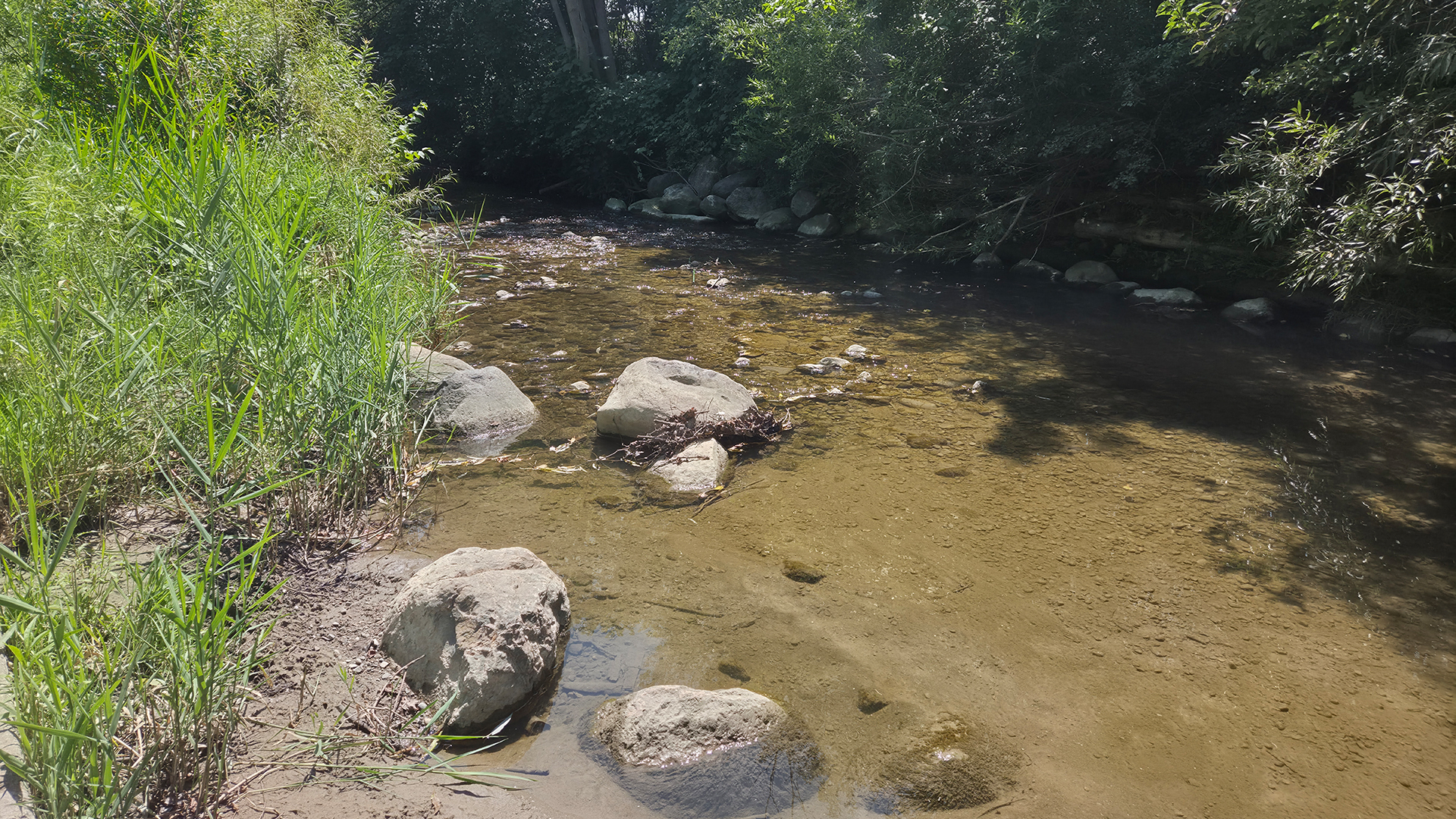 Samsung Galaxy Z Fold 8 photo creek