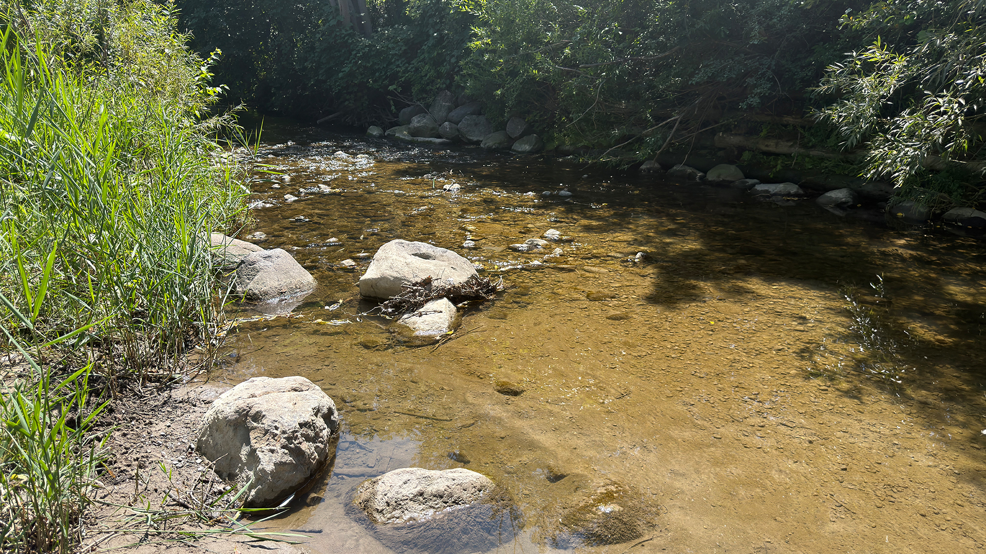 iPhone 17 Pro photo creek