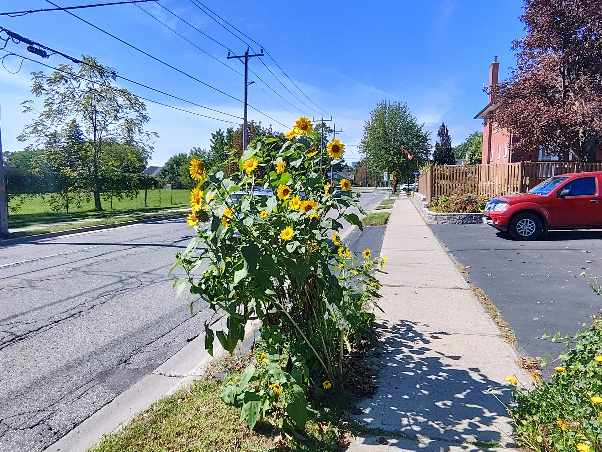A landscape image captured with the Rokid smart glasses.