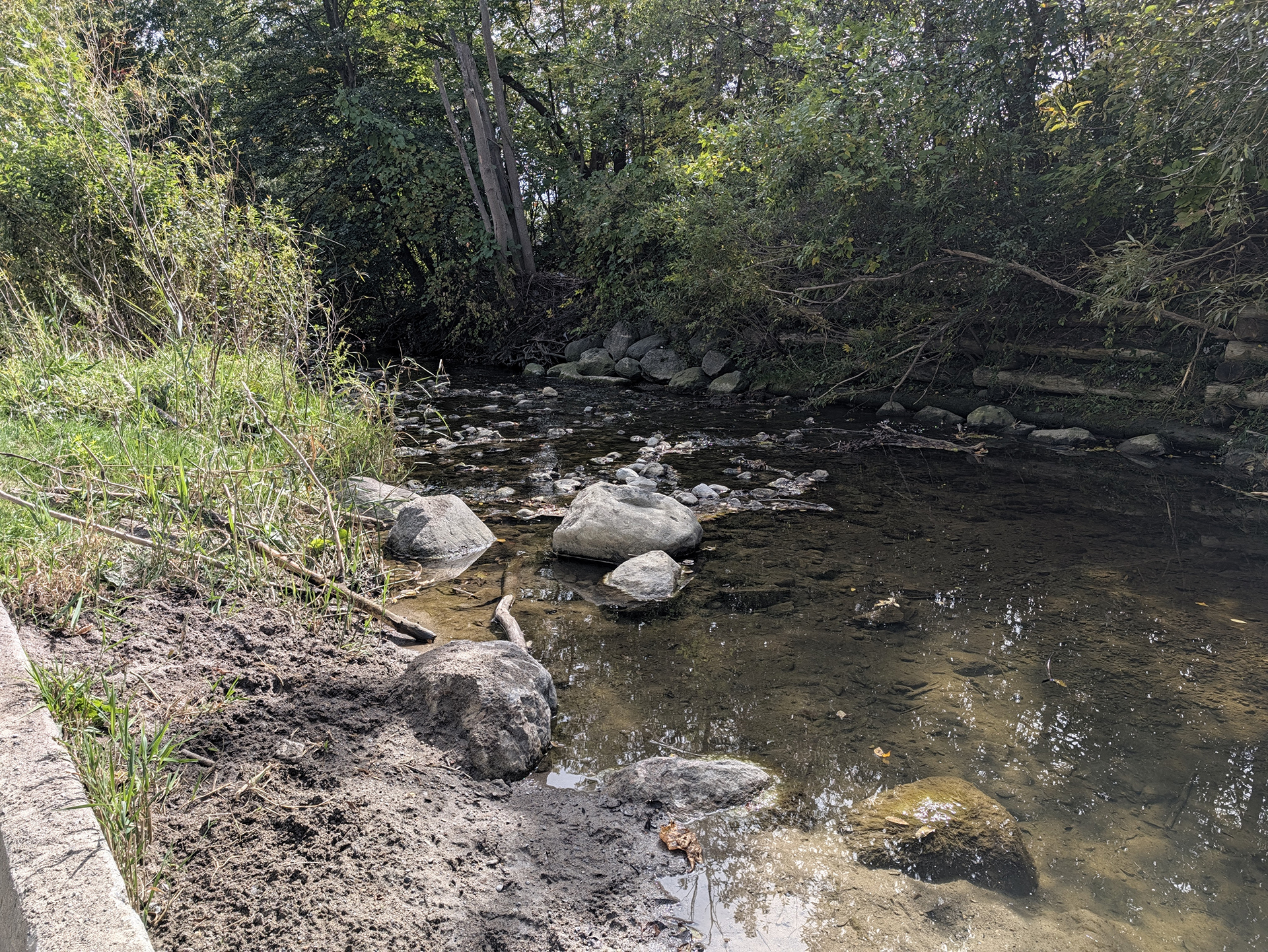 A photo of a creek taken with the Google Pixel 11 Pro.