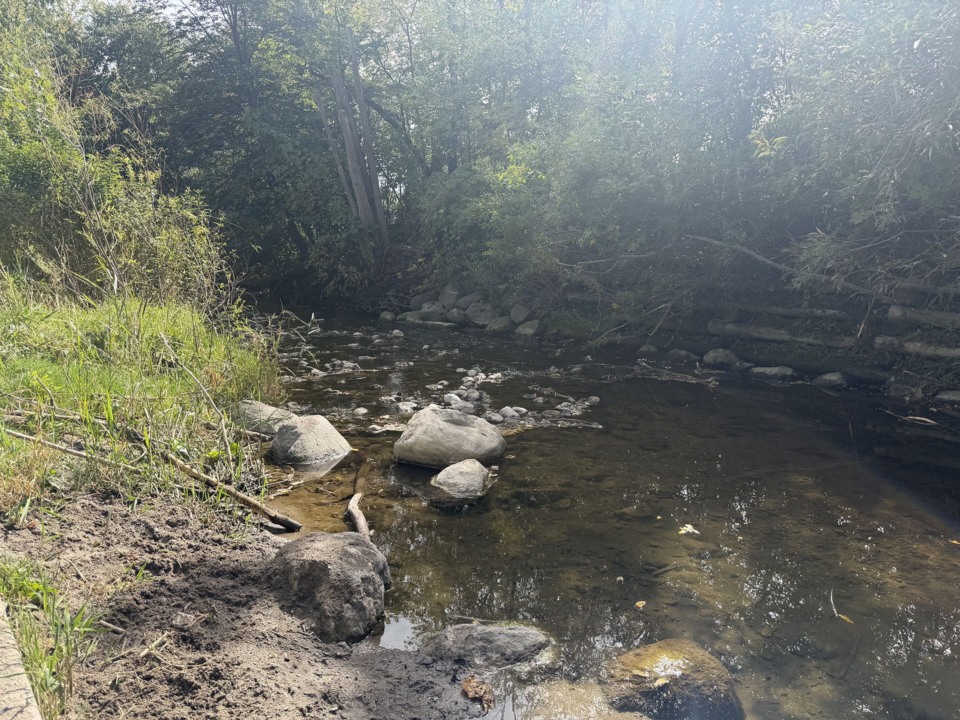 A photo of a creek taken with the iPhone 17 Pro